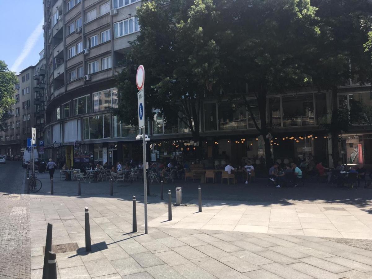 5 * Belgrade